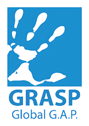 GRASP